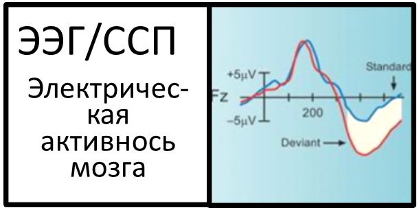 электрическая активность мозга