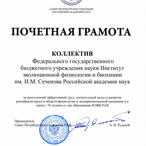Коллектив отмечен почетной грамотой Санкт-Петербургского отделения РАН