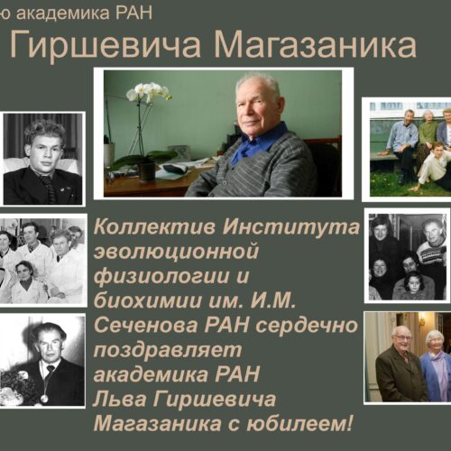 К 95-летию академика РАН Льва Гиршевича Магазаника