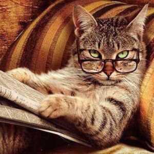Всероссийская конференции с международным участием «Клетка: от фундаментальных вопросов к клеточным технологиям»